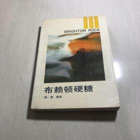 布赖顿硬糖：兔子译丛