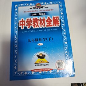 中学教材全解 九年级化学下 人教版 2022春