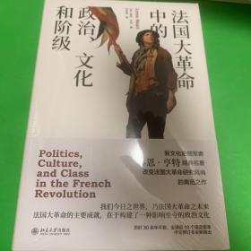 法国大革命中的政治、文化和阶级