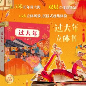 过大年：立体书（适合春节串门送礼、可玩很强，内含15个立体跨页，主题囊括春运回家、年货采办准备、