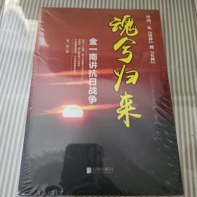 魂兮归来：金一南讲抗日战争
