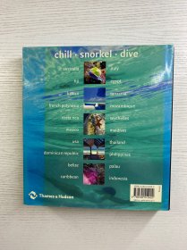Dive in Style：With 743 Colour illustrations（2006年英文版）24开（精装如图、内页干净）