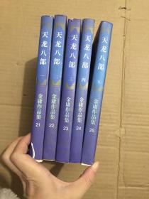 天龙八部 5本合售（全5册）
