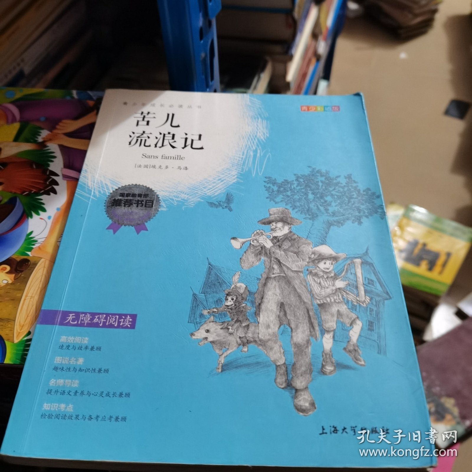 钟书图书·我最优阅·青少版彩插版·苦儿流浪记（第二辑）