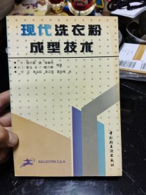 现代洗衣粉成型技术 B6