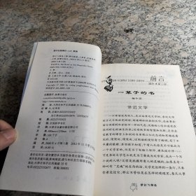 梦幻飞翔岛