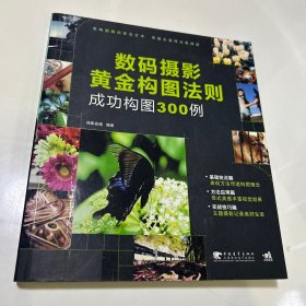 数码摄影黄金构图法则