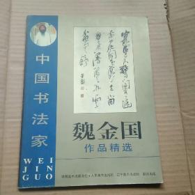 中国书法家 魏金国作品精选【一版一印】