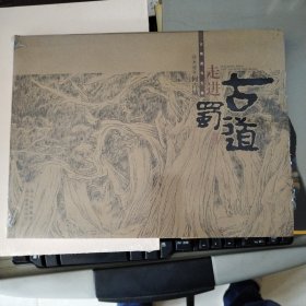 走进古蜀道：山水画家何青城古蜀道写生集