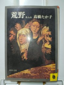 荒野（あらの）　高桥たか子 （河出文库）日文原版