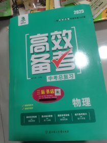 2025高效备考中考总复习物理--