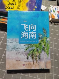 飞向海南