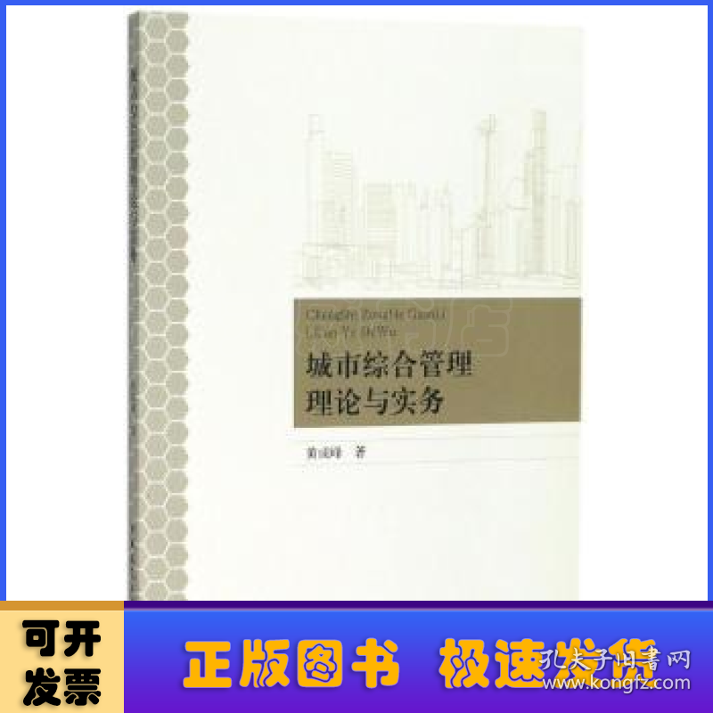 城市综合管理理论与实务