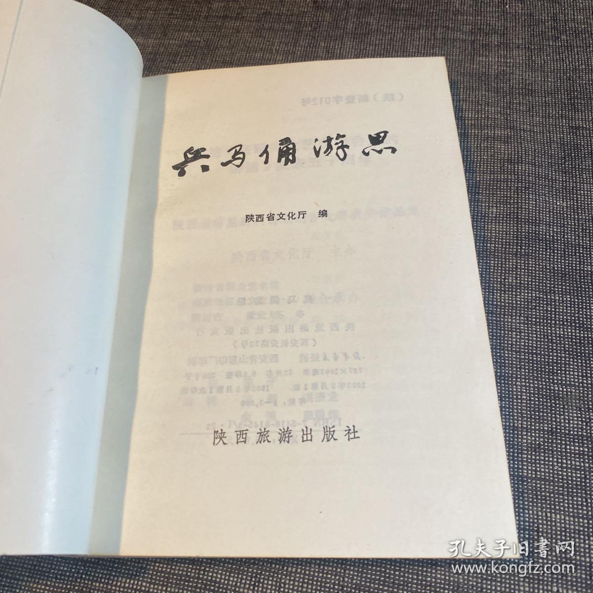 点击查看原图 兵马佣游思