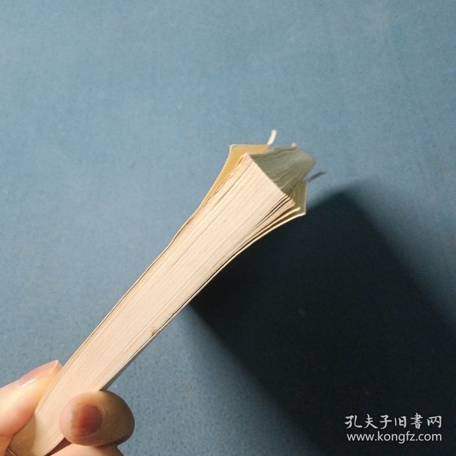 发酵工厂二氧化碳的回收和应用