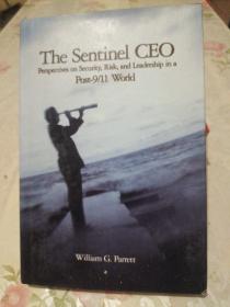 The Sentinel CEO: Perspectives on Security, Risk, and Leadership in a Post-9/11 World