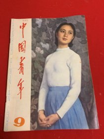 中国青年1980年第9期