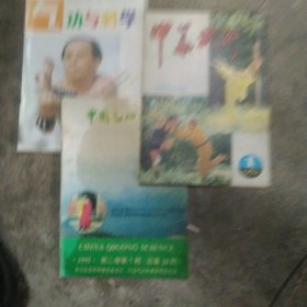 中国武术杂志3本合售如图