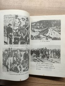 毋忘国耻历史丛书 苦力贸易—拐骗掳掠华工的罪恶勾当
