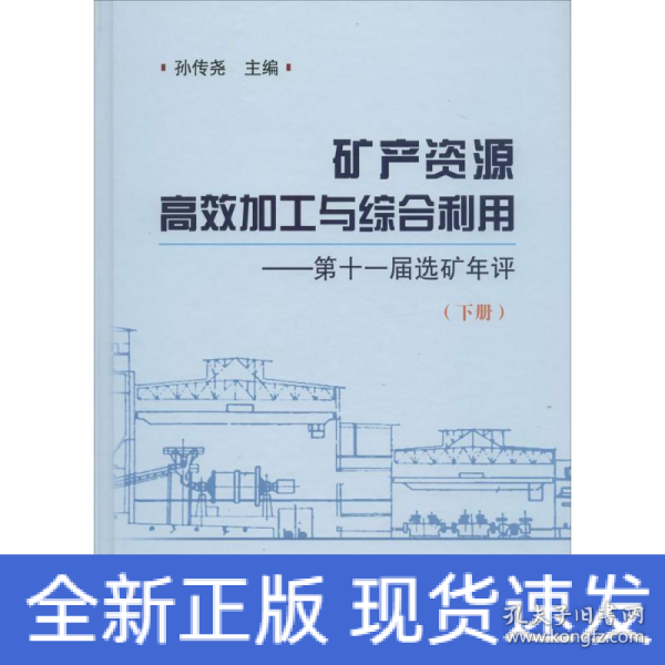 矿产资源高效加工与综合利用 第十一届选矿年评（下册）