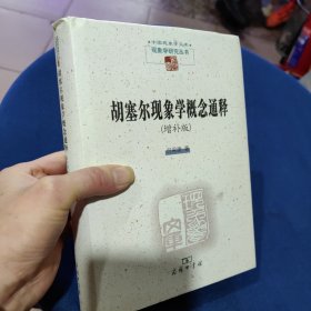 胡塞尔现象学概念通释：增补版