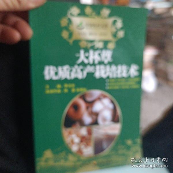 大杯蕈优质高产栽培技术