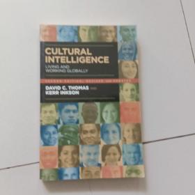 cultural intelligence:living and working globally【second edition】【大32开英文原版】