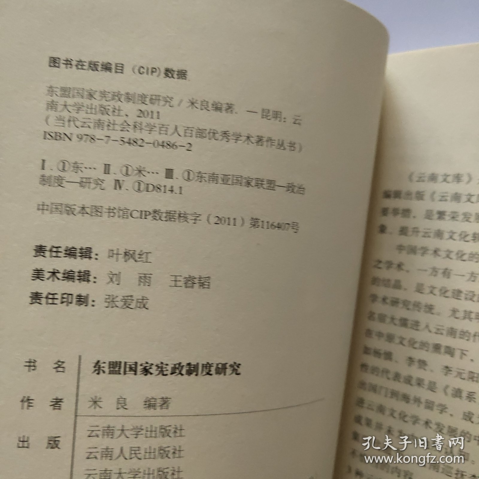 东盟国家宪政制度研究