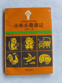 小布头奇遇记
