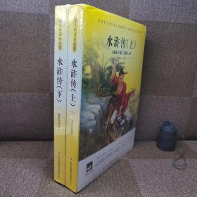 名师审定版 大语文 水浒传(上下）