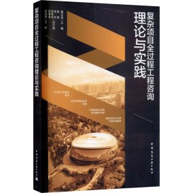 复杂项目全过程工程咨询理论与实践