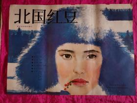 1开电影海报 【北国红豆】刘晓庆主演