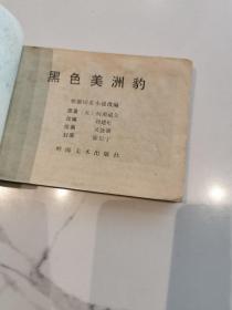 黑色美洲豹