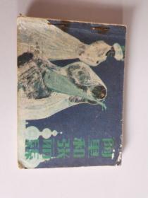 阿里和张丽丝   扉页有字 品相如图  有钉针锈痕