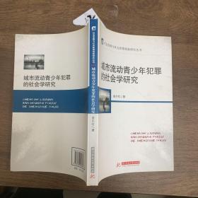 社会发展与社会政策创新研究丛书：城市流动青少年犯罪的社会学研究