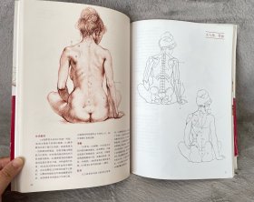 J.夏帕德动态人体解剖：彩色版
