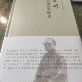 钱穆作品 ：宋明理学概述 简体精装版