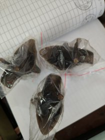 茅台酒杯 杯子
