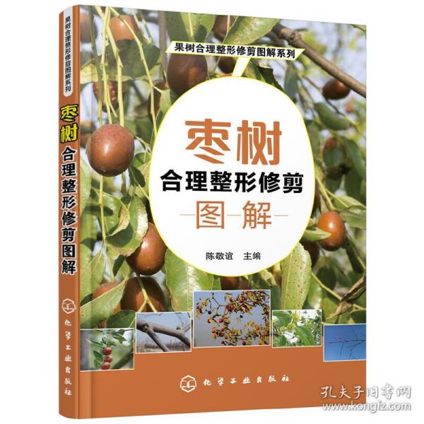 果树合理整形修剪图解系列--枣树合理整形修剪图解