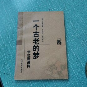 一个古老的梦：伊拉斯谟传（正版）