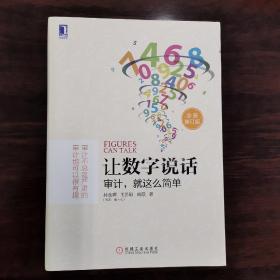 让数字说话：审计，就这么简单