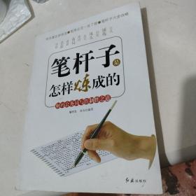 笔杆子是怎样炼成的：解码公务员写作制胜之道