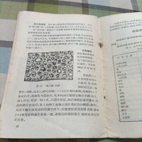 糕饼生产工人技术指南