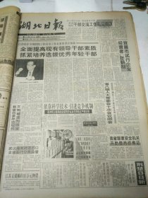 湖北日报1994年12月3日