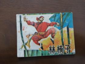 连环画 a《林楠子 》 （打眼书 整体干净无渍）