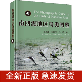 南四湖地區(qū)鳥類圖鑒