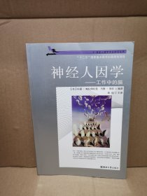 神經(jīng)人因?qū)W：工作中的腦