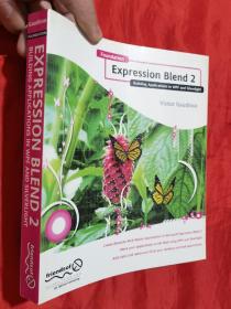 Foundation Expression Blend 2 【16开】