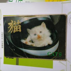 明信片：猫（第二辑）6张、外文出版社，陈幼实编