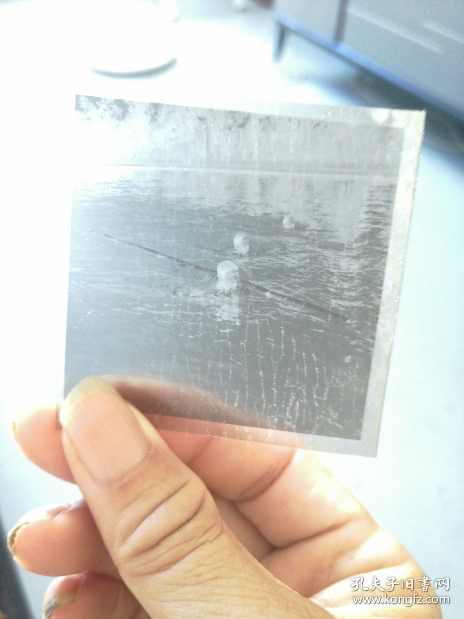 三届省运会游泳比赛，破少年纪录，1974年8月在成都